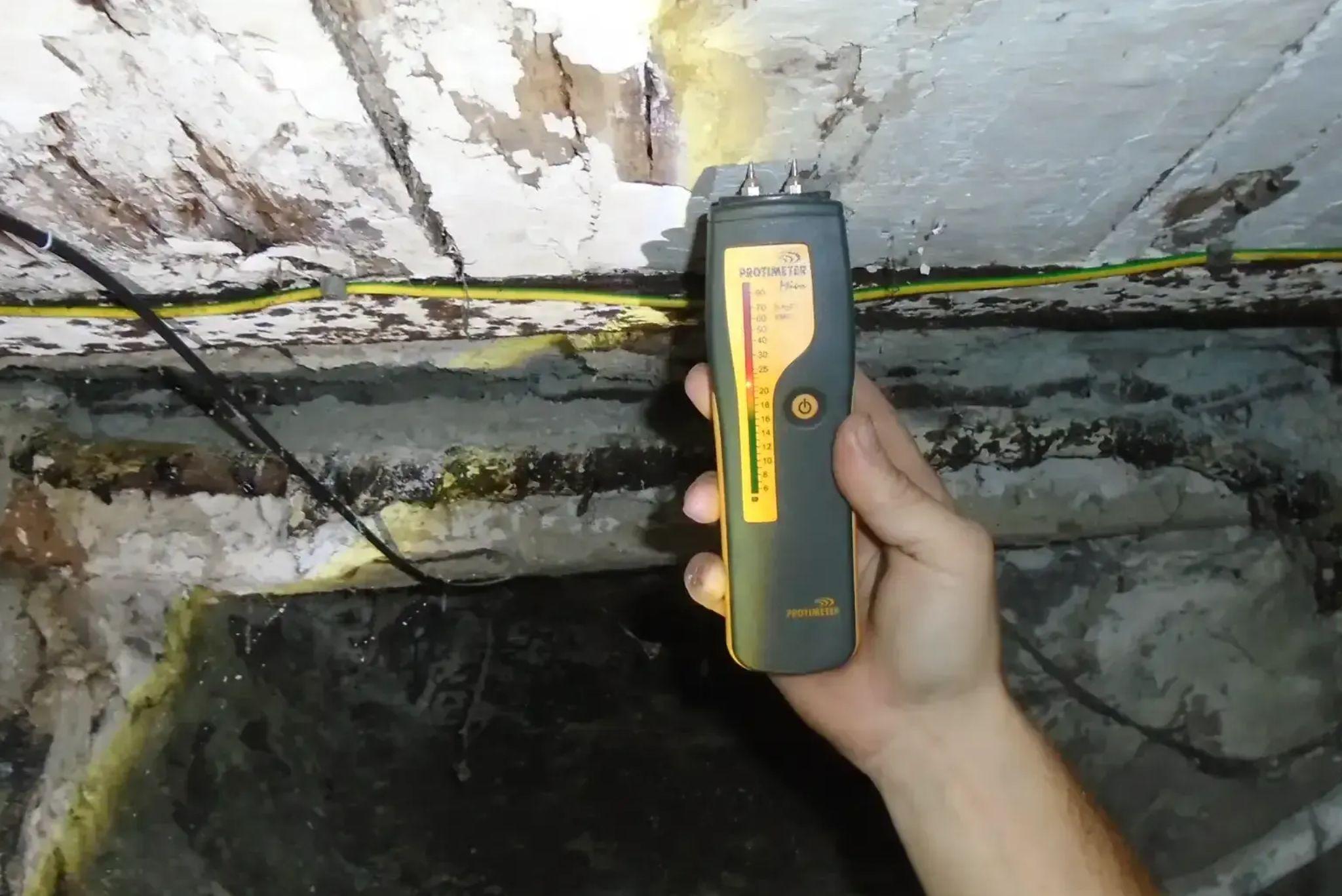 Damp Surveyor Looks for